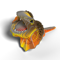 Збірна 3Д модель Зоопарк: Плащоносна ящірка