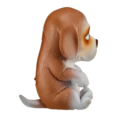 Новорожденный щенок Beega